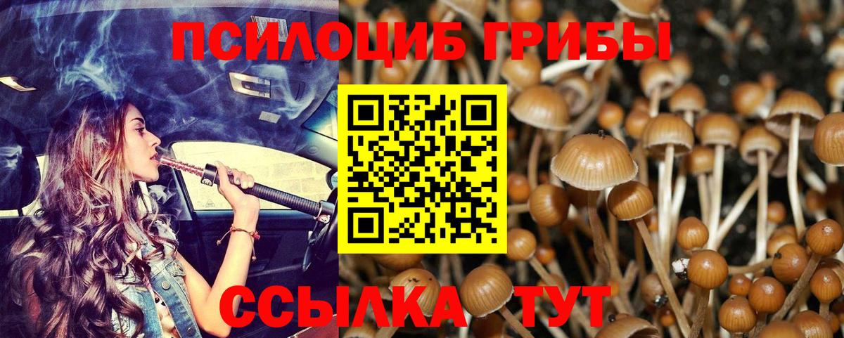 Галлюциногенные грибы мицелий Улан-Удэ